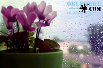 Потеют окна - на стекле капли воды